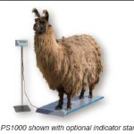 PS 1000 4-H Multipurpose Livestock Scale System
