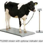4-H Multipurpose Livestock Scale System 4-H Multipurpose Livestock Scale System