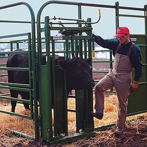 Calving Pen Calf Pen Maternity Pen livestock equipment