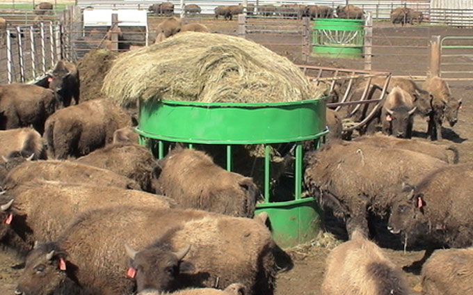 Hay Hopper Round Bale Feeder Discontinued
