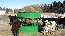 A green hay feeder with a hay bale suspended in it.