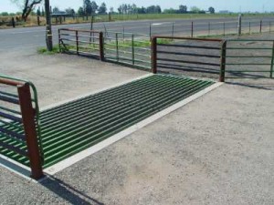 cattle guard in roadway
