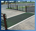 Cattle Guards