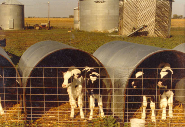 Animal Shelters from Barn World portable livestock