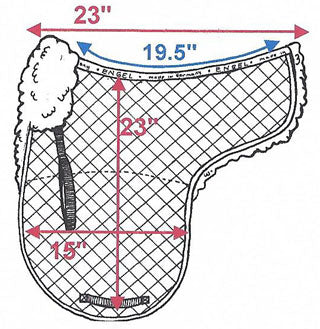 Dimensions of the Dressage Saddle Pad