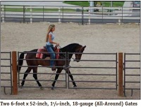 a rider on horseback passes by a gate