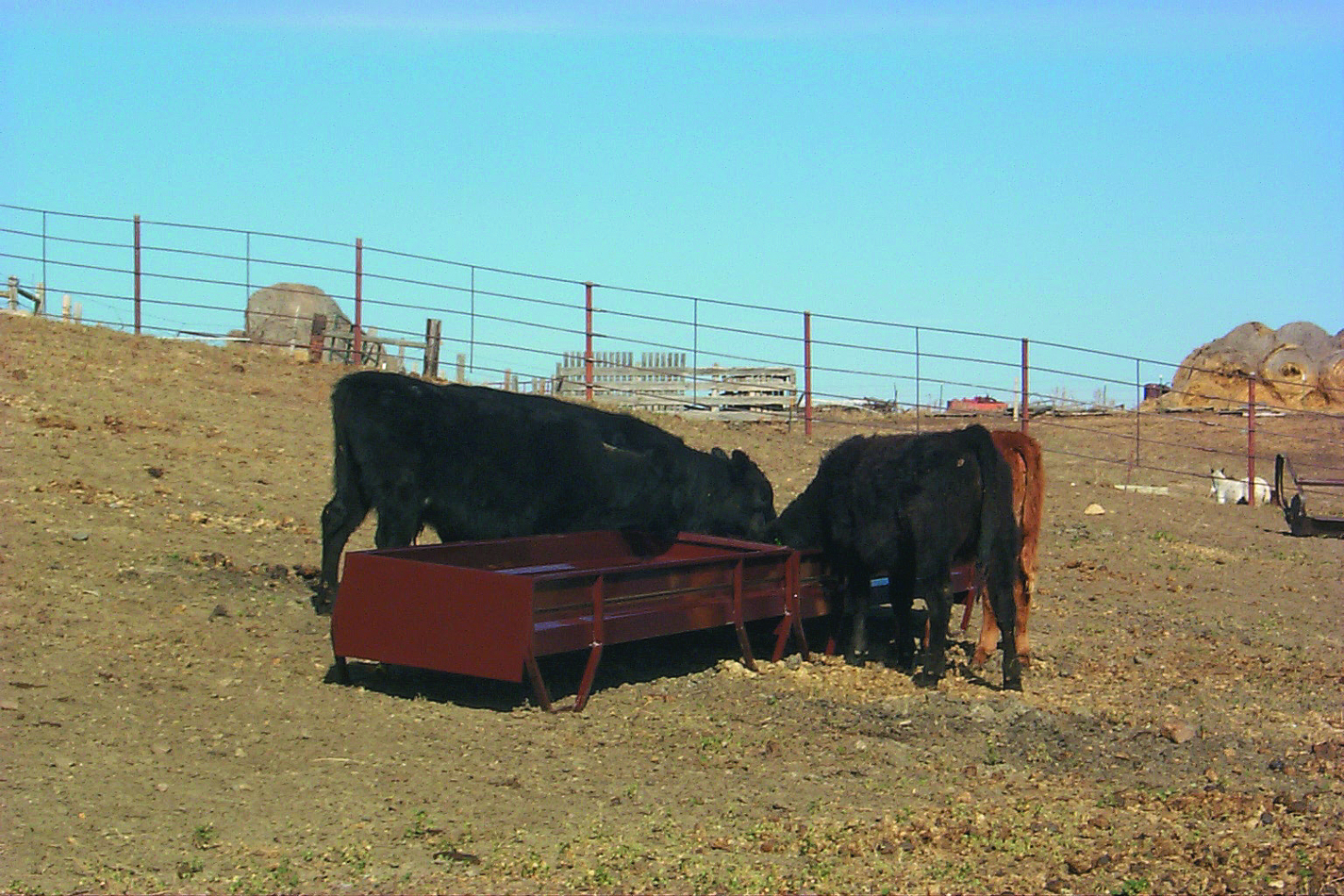 cattle feed trough