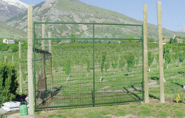 extra tall gate mounted to an entrance to keep deer from crossing