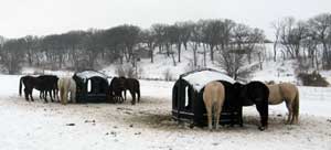 covered hay feeder outdoor in the snow