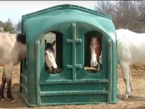horses eating from a covered hay feeder