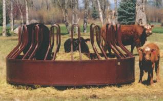 cows using hay feeder for horses