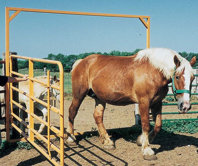 cattle gates and panels