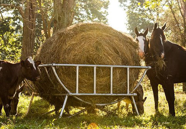 horse hay feeder