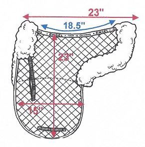 dressage pad dimensions