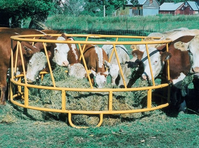 Open Bottom Hay Feeder