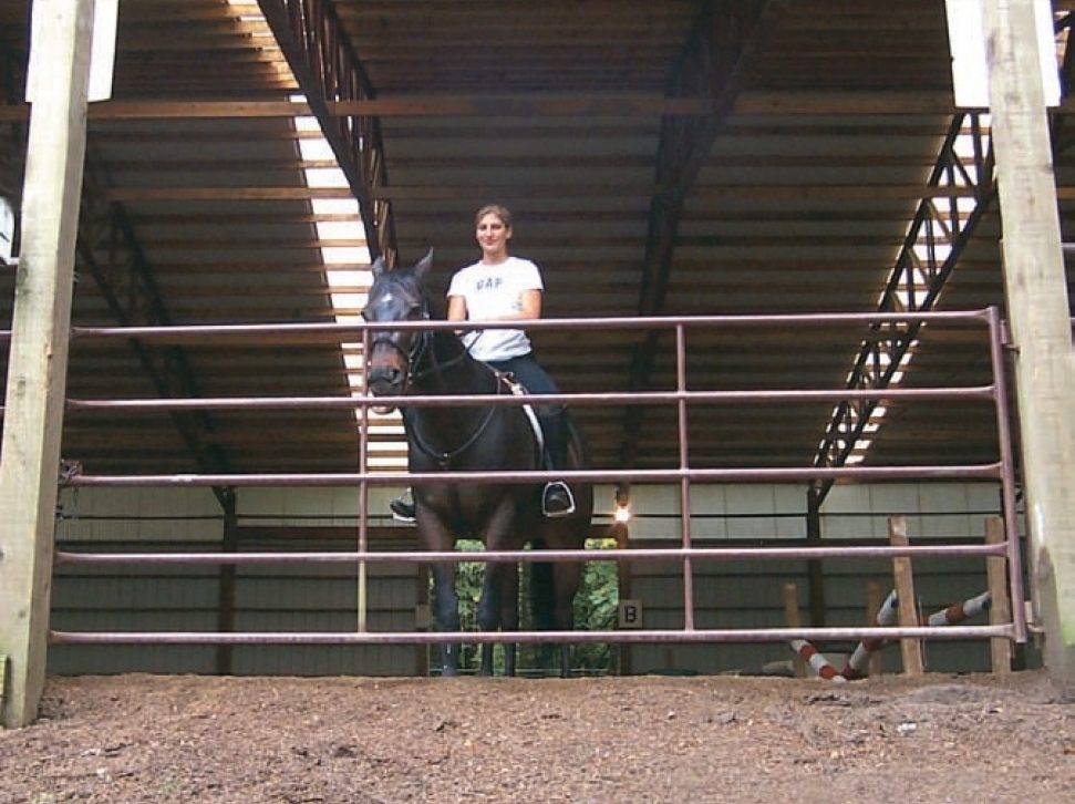 horse standing behind gate at entrance to the barn