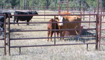 livestock panel with five rails