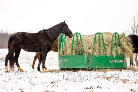 horse eating from hay feeder collapsible horse hay feeder