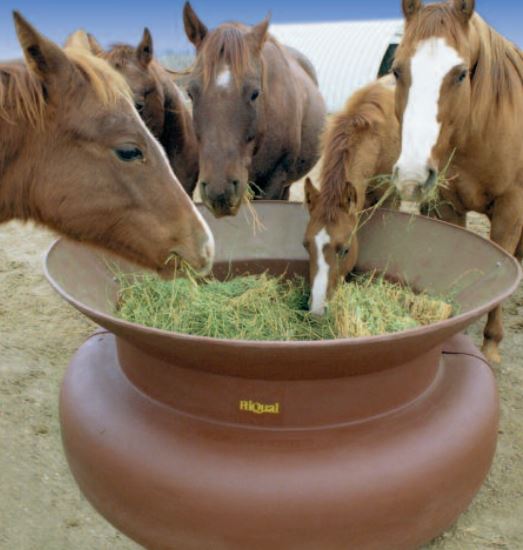 ground horse hay feeder