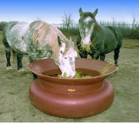 horses grabbing hay from feeder