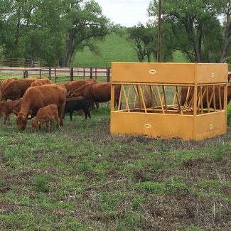 Cattle hay feeder in pasture