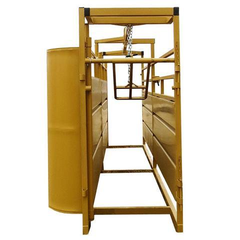 entrance to the cattle alley for livestock handling