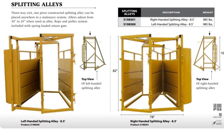 cattle sorting alley specifications