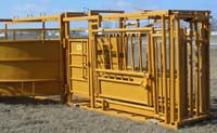 side view of squeeze chute