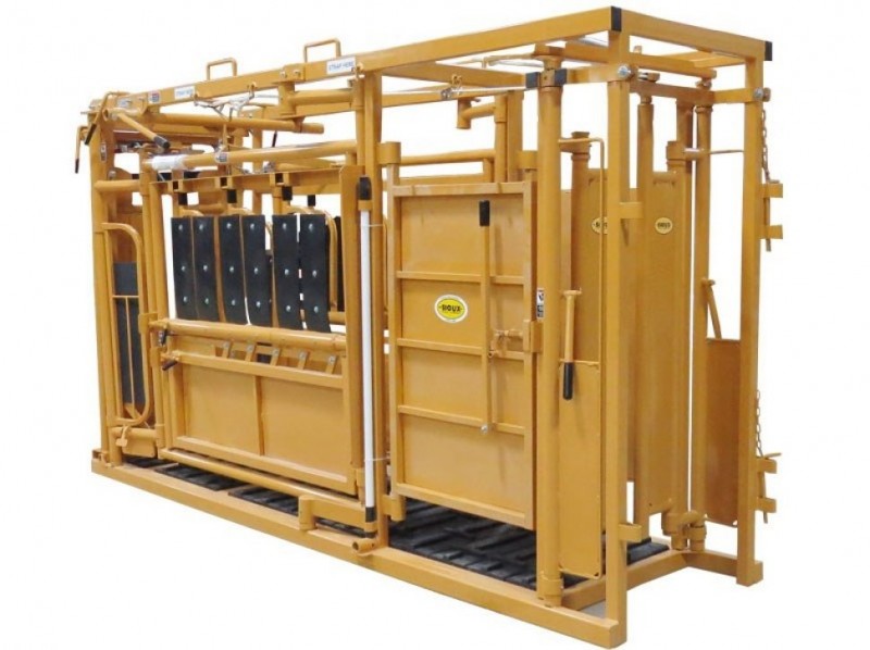 Squeeze chute with palpation cage attached