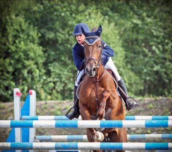 horse jumping in the heat