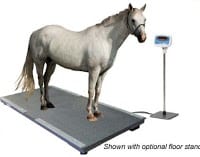 heavy duty animal scale with a horse standing on it