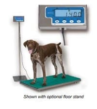 pet platform scale