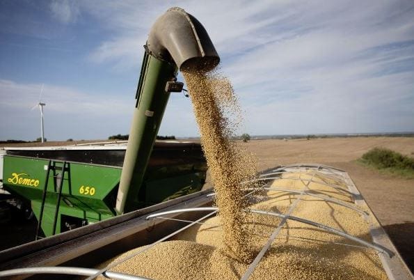 loading soybeans into a truck