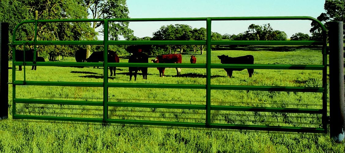 farm gate with cows in a pasture
