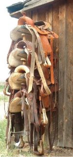 outdoor mounted saddle rack with four saddles