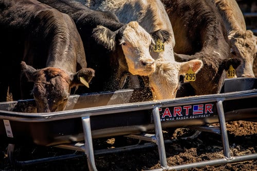 Cattle Guard Products Barn World