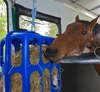 portable stall feeder for horses