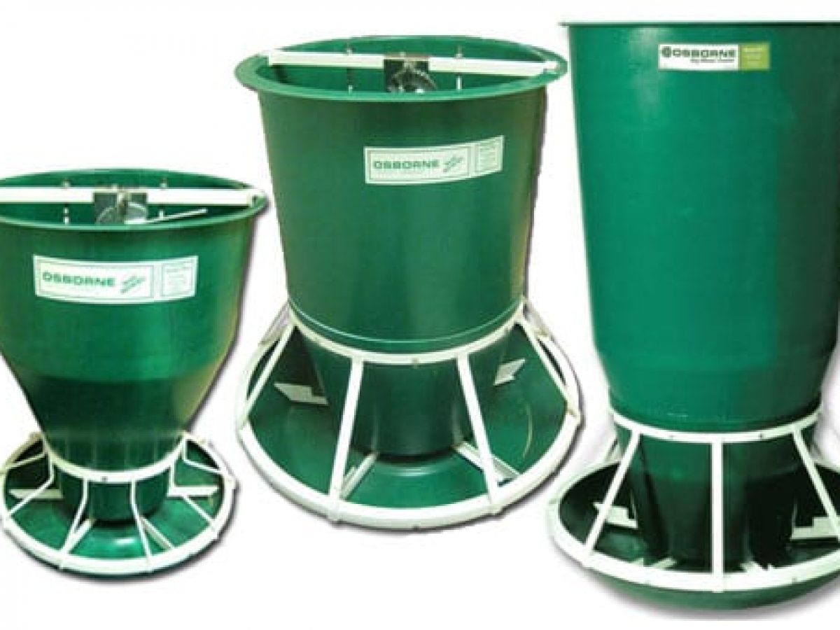Large Hog Feeder | edu.svet.gob.gt