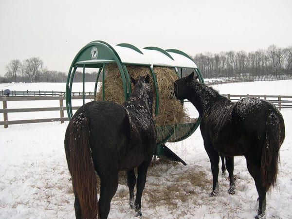 Horse Hay Feeder