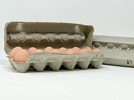 egg carton