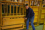 calf chute nursing panel