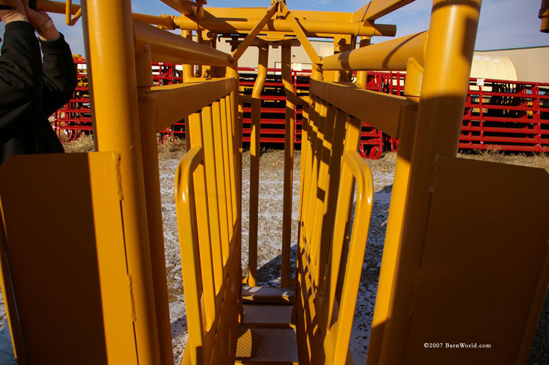 inside of cattle squeeze chute