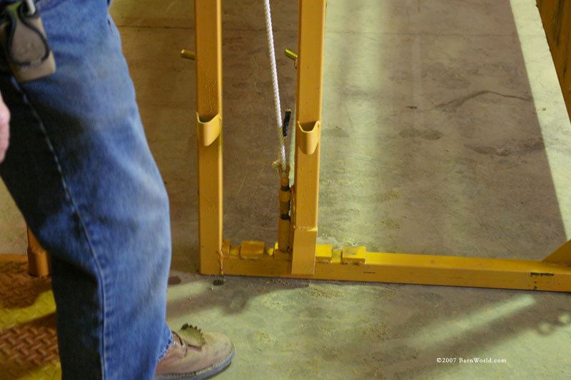 cattle alley adjusting lever