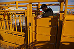 livestock alley adjustment bar