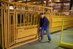 livestock nursing panel