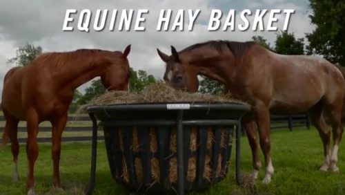 equine hay basket with horses eating in a pasture