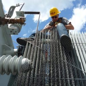 construction working installing bird netting on a transformer