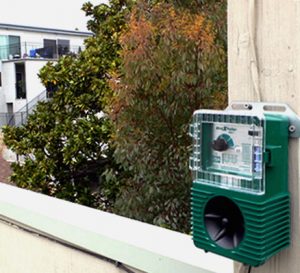 sonic bird repeller mounted to a wall