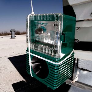 electronic bird repeller mounted on the roof