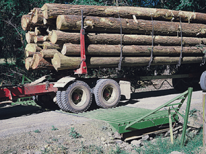logging truck crossing a cattle guard installation